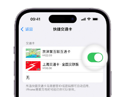 兴安apple维修点分享iPhone上更换Apple Pay快捷交通卡手绘卡面 