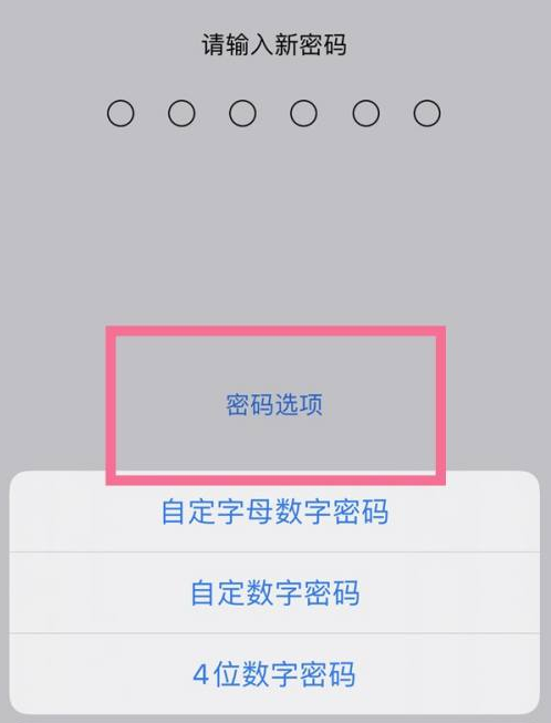 兴安苹果14维修分享iPhone 14plus设置密码的方法 