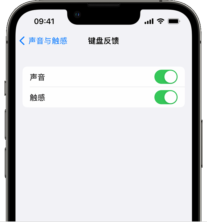 兴安苹果14维修分享iPhone 14 系列机型如何开启键盘声音或触感反馈 