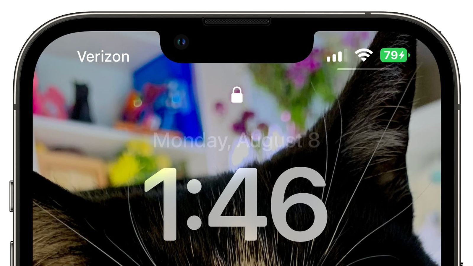 兴安苹果手机维修分享iOS 16 beta 5 支持状态栏显示电池百分比，如何开启？支持哪些机型 