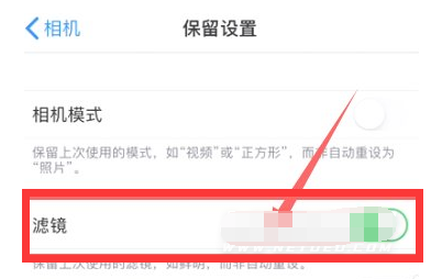 兴安苹果13维修分享iPhone13拍照有绿点是怎么回事 
