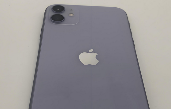 兴安苹果11系统维修分享iPhone11手机系统崩溃无法开机如何解决